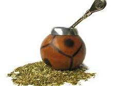 Yerba Mate Tea in cup