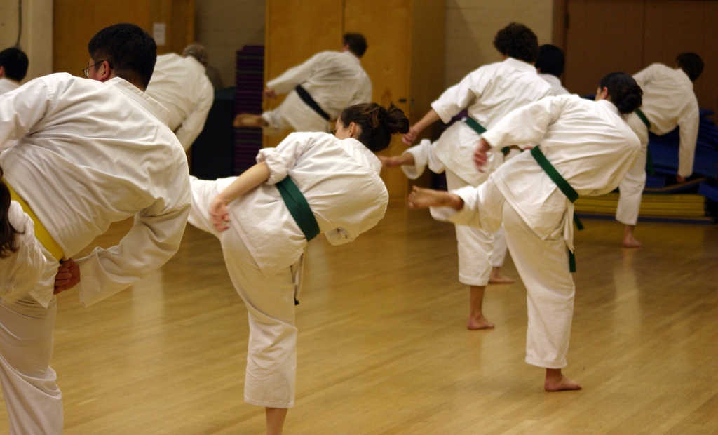 some people practicing karate